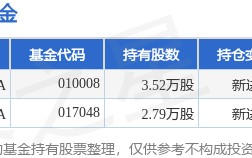 1月20日神宇股份涨10.81%，国联成长优选混合A基金重仓该股