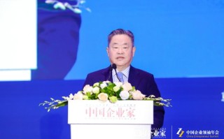 宁高宁：只有“乐观、积极”才是企业家精神，才能恢复经济的增长