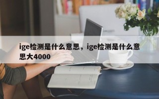 ige检测是什么意思，ige检测是什么意思大4000