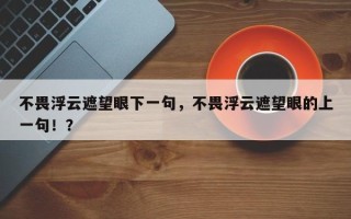 不畏浮云遮望眼下一句，不畏浮云遮望眼的上一句！？