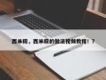 西米粽，西米粽的做法视频教程！？