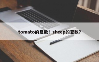tomato的复数！sheep的复数？