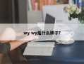 wy wy是什么牌子？