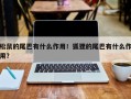 松鼠的尾巴有什么作用！狐狸的尾巴有什么作用？