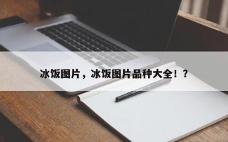 冰饭图片，冰饭图片品种大全！？