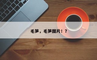 毛笋，毛笋图片！？