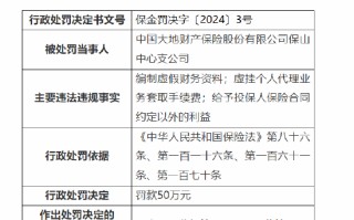 大地保险保山中心支公司被罚50万元：因编制虚假财务资料等违法违规事实