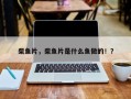 柴鱼片，柴鱼片是什么鱼做的！？