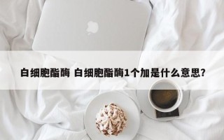 白细胞酯酶 白细胞酯酶1个加是什么意思？