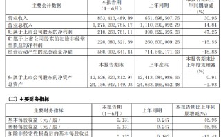 业绩连亏三年，爱建证券或将迎来股东增资