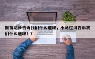揠苗助长告诉我们什么道理，小马过河告诉我们什么道理！？