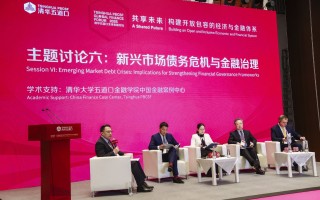 聚焦新兴市场债务危机与金融治理：构建有效合作框架，维护区域和全球金融稳定