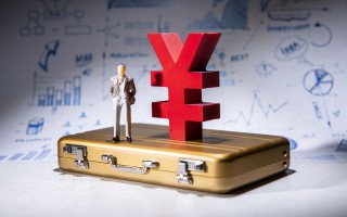 农银保险的实际情况如何评估？对农银保险的评估存在哪些难点？