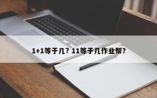 1+1等于几? 11等于几作业帮？