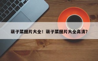 葫子菜图片大全！葫子菜图片大全高清？