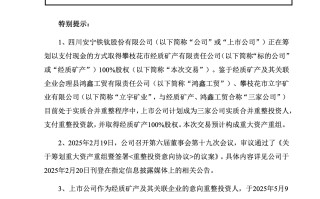 安宁股份拟支付超65亿元重整投资款取得经质矿产100%股权