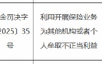 因利用开展保险业务为其他机构或者个人牟取不正当利益 人保财险上海市奉贤支公司时任负责人被罚