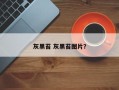 灰黑苔 灰黑苔图片？