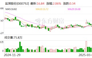 盐湖股份：3月19日将召开2025年第一次临时股东大会