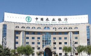 为什么银行的营销电话总是在不合适的时间打来？