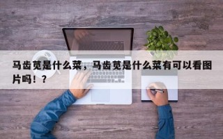 马齿苋是什么菜，马齿苋是什么菜有可以看图片吗！？