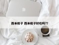 西米粽子 西米粽子好吃吗?？