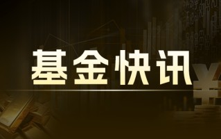 宝盈祥利稳健配置混合 A：资产缩水，持仓披露