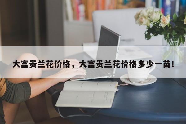 大富贵兰花价格，大富贵兰花价格多少一苗！